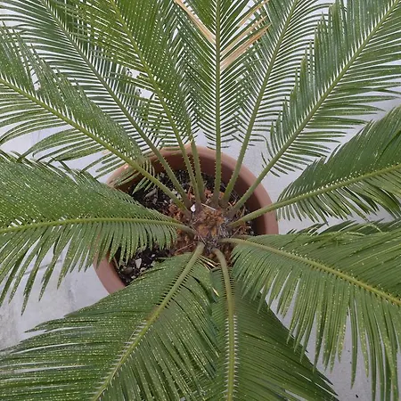 Petra & Rustic Makarska